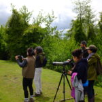 پرنده‌نگری