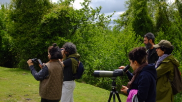 1B49B075-623F-4E2B-94F3-E08C8B556BAD-26868-0000089AE699BD5E