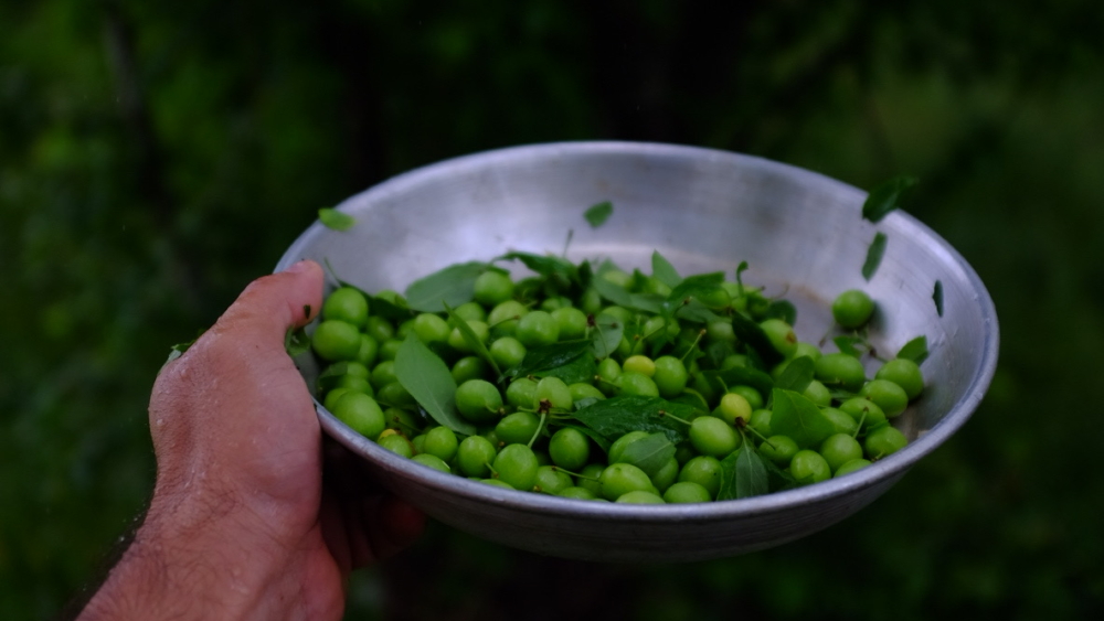 50CF98BA-E6A7-462D-9C2E-F9D461BD6BEF-20375-0000074C2E8A05FB