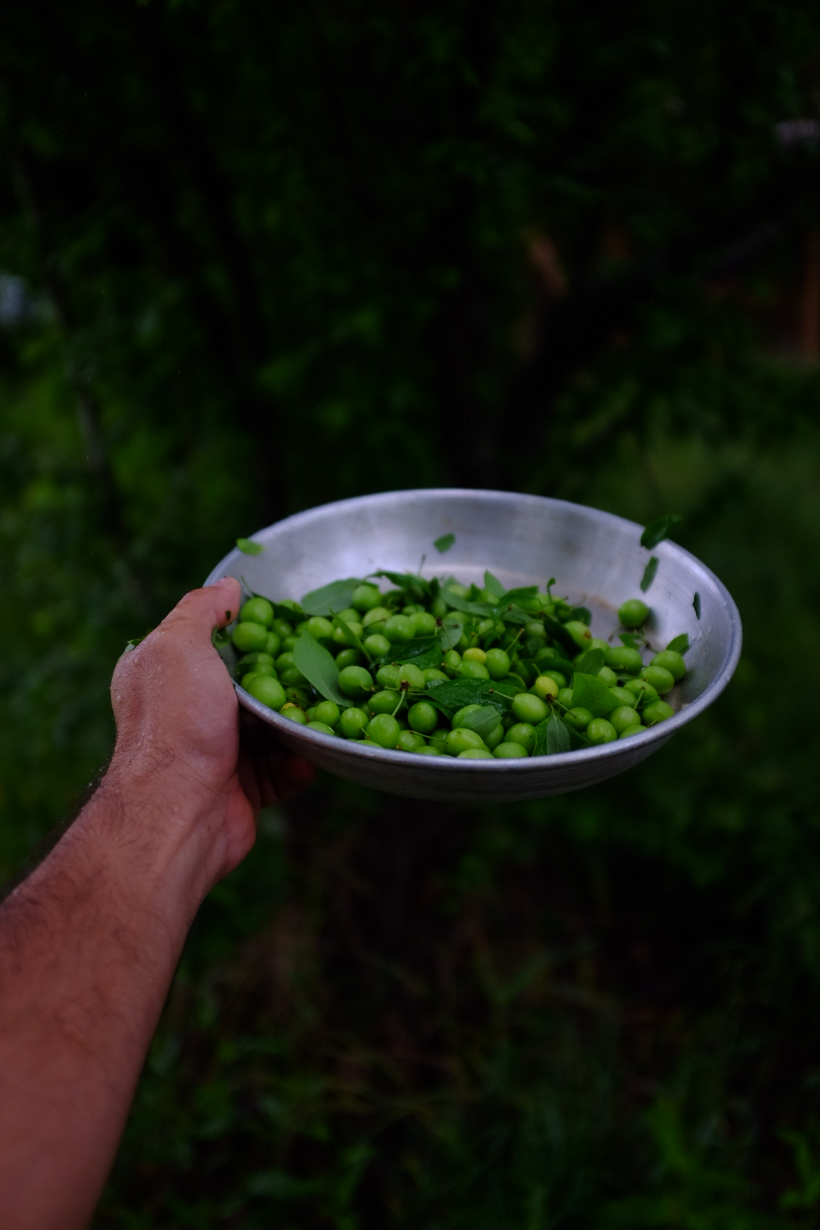 سه شنبه بازار فومن