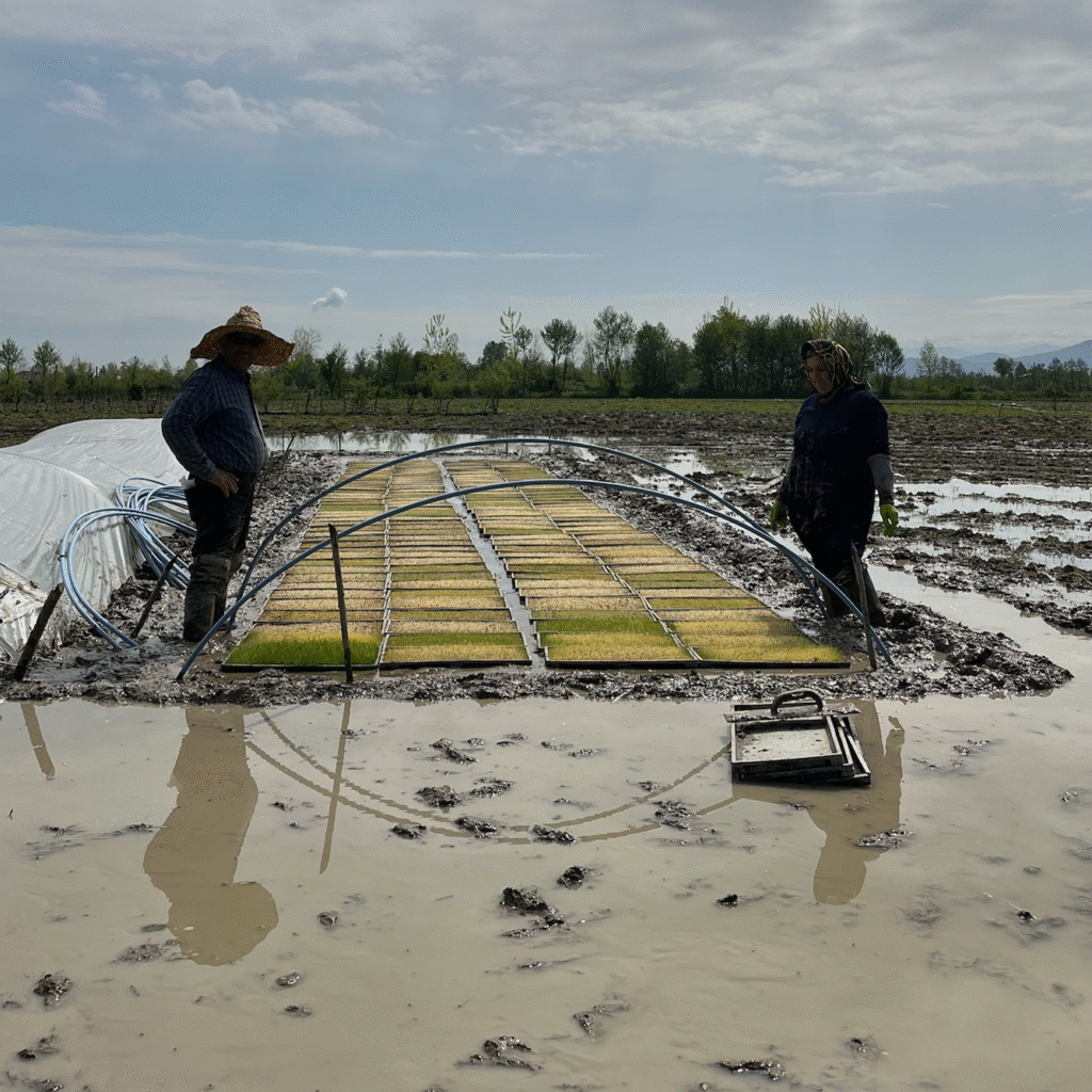 آقا و خانم عینی