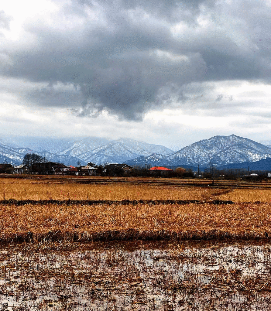 زمینهای کشاورزی در زمستان سیاگالش